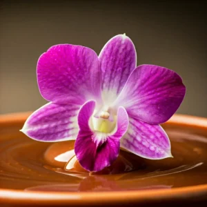 caramel orchid candle 200gr