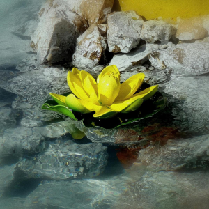water lotus fabric mist 100ml